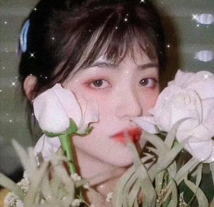僧侣和枪